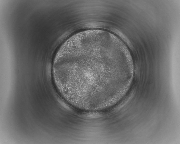 X0000110880445200907091425