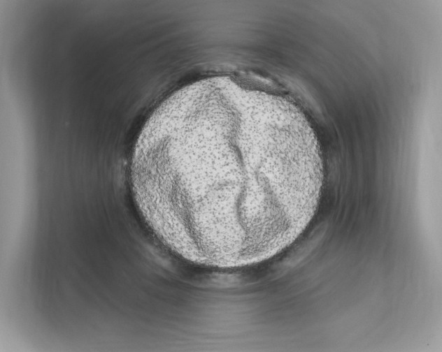 X0000110880457200907091425