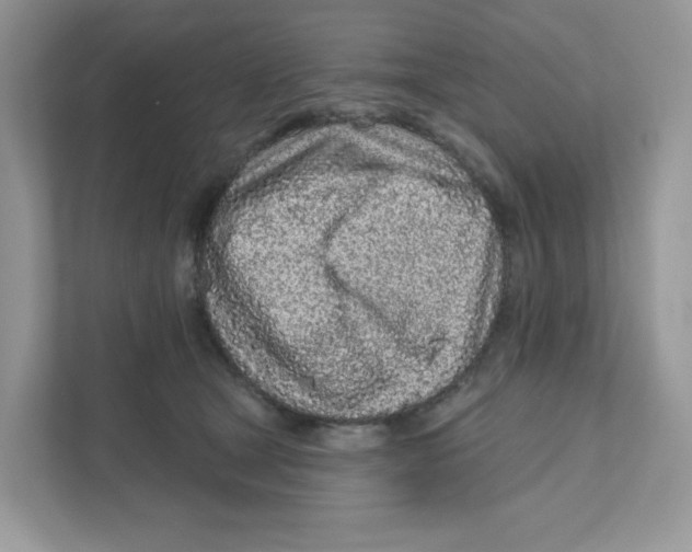 X0000110880465200907091425