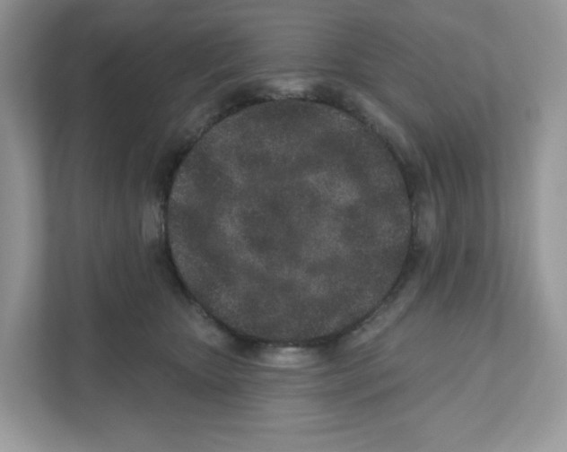 X0000110880467200907091425