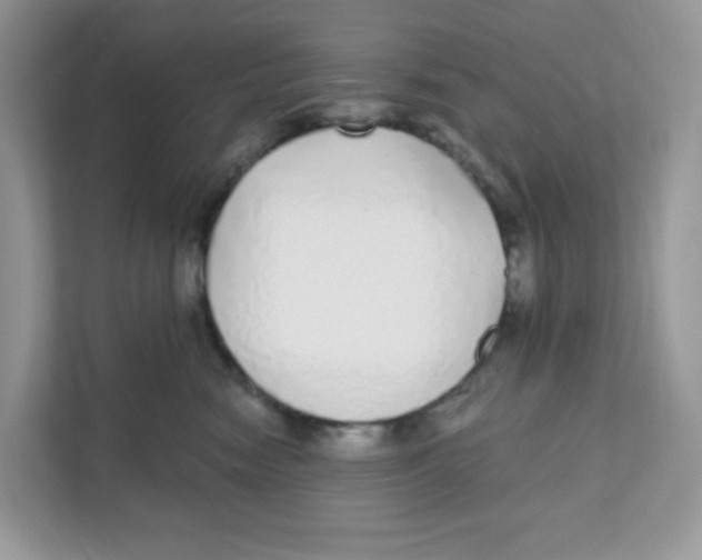 X0000110880474200907091425