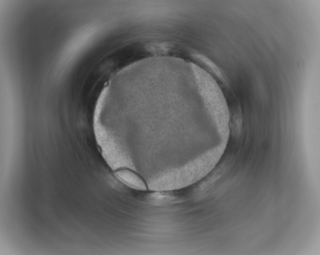 X0000110880477200907091425