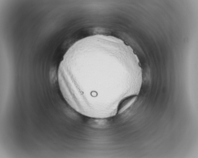 X0000110880478200907091425