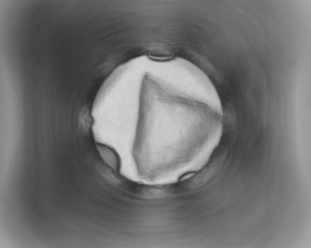 X0000110880479200907091425