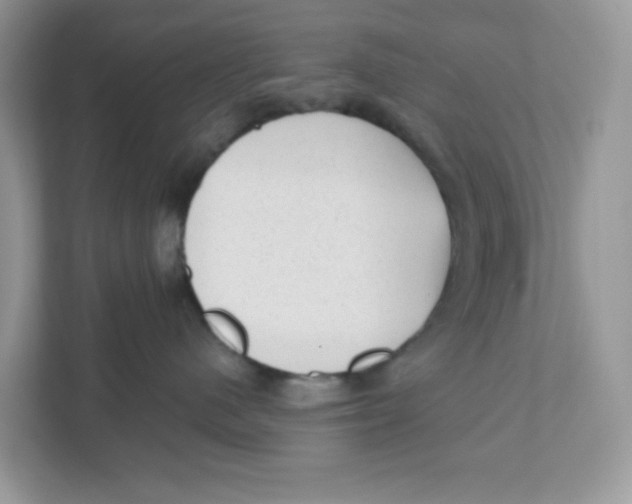 X0000110880480200907091425