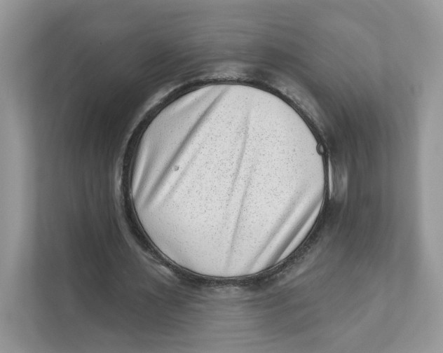 X0000110880483200907091424