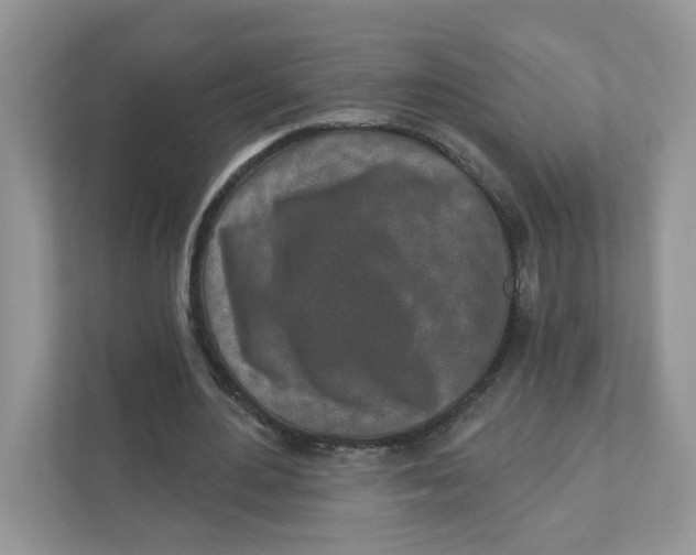 X0000110880484200907091424