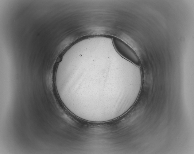 X0000110880485200907091424