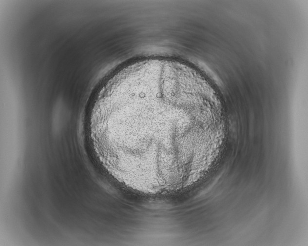 X0000110880487200907091424