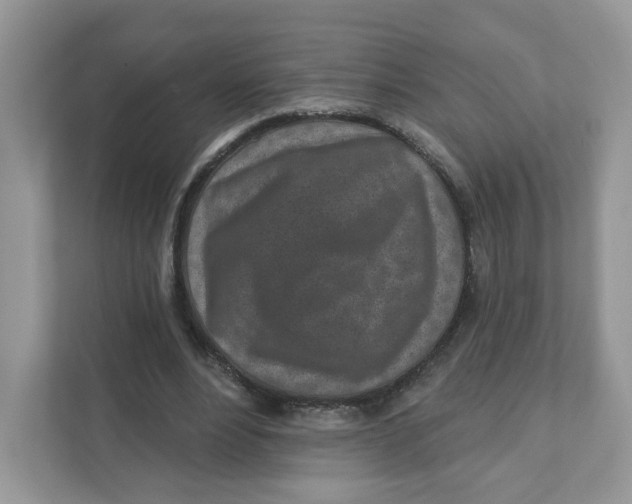 X0000110880488200907091424