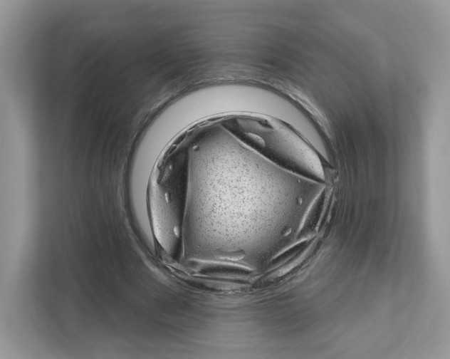 X0000110880489200907091424