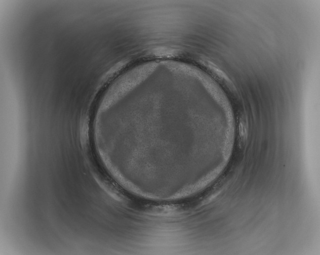 X0000110880492200907091424