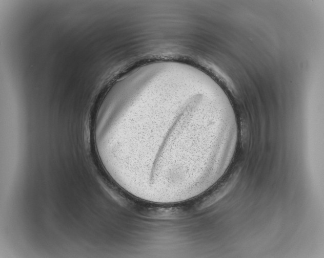 X0000110880493200907091424