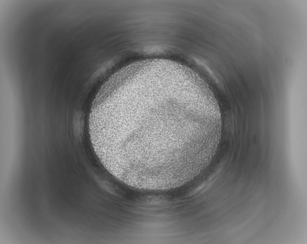 X0000110880495200907091424