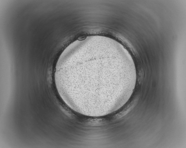 X0000110880497200907091424