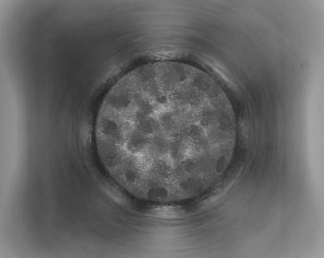 X0000110880499200907091424