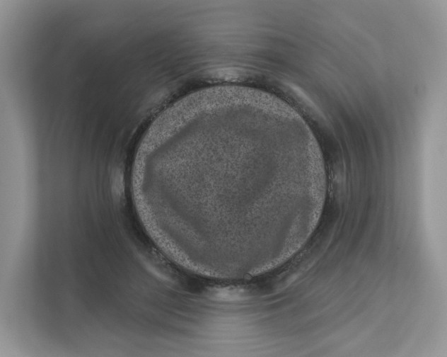 X0000110880500200907091424