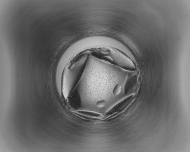 X0000110880501200907091424