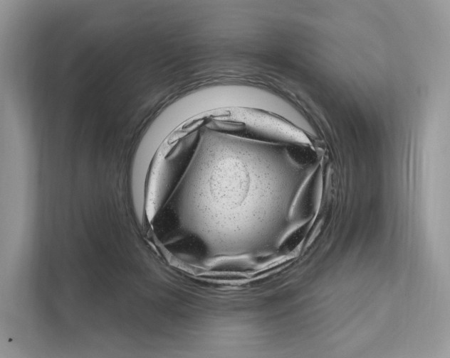 X0000110880505200907091424