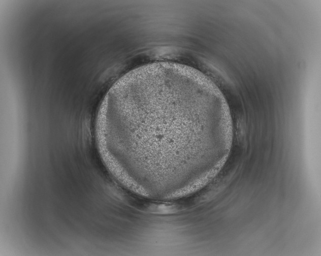 X0000110880506200907091424