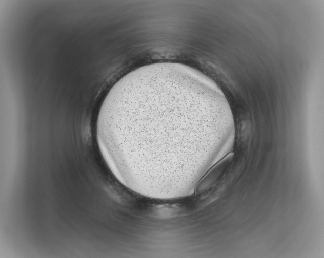 X0000110880508200907091424