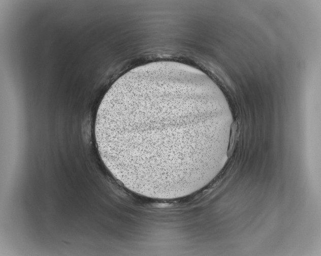 X0000110880509200907091424