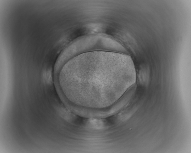 X0000110880520200907091424