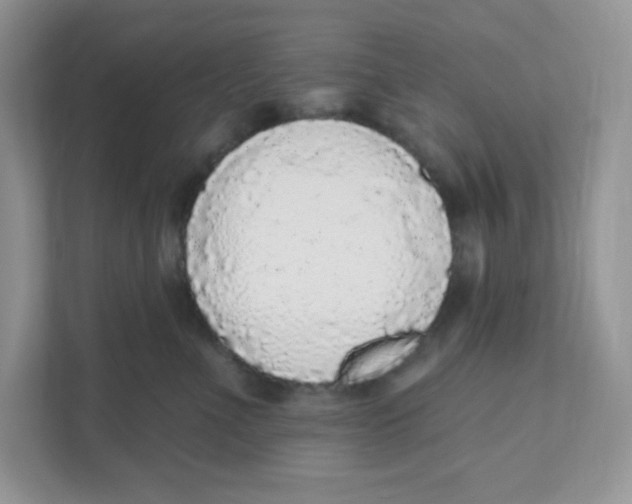 X0000110880523200907091424