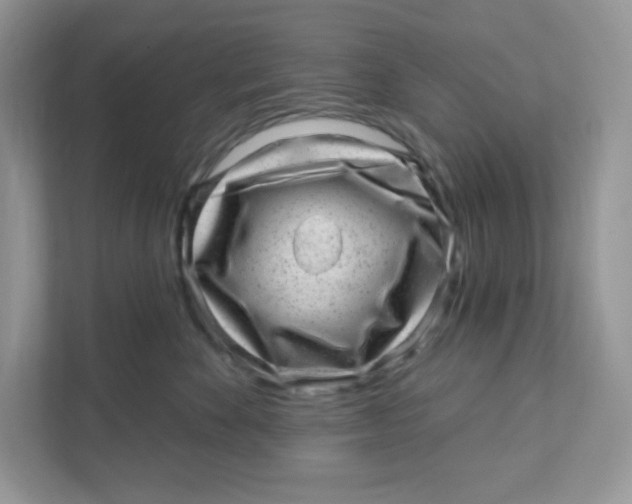 X0000110880524200907091424