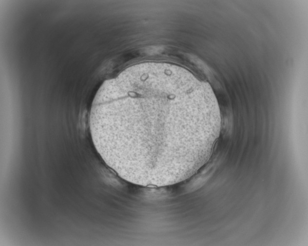 X0000110880525200907091424