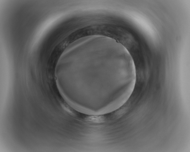 X0000110880526200907091424