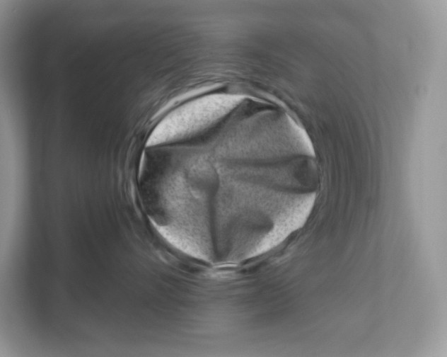 X0000110880528200907091424