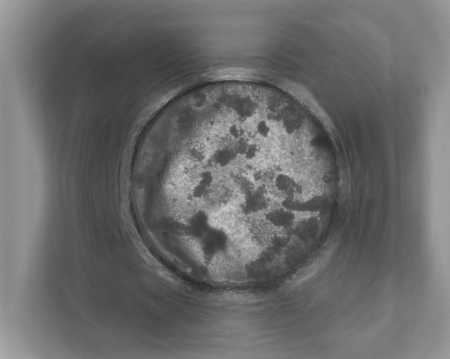 X0000110880529200907091423