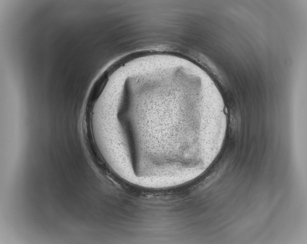 X0000110880532200907091423