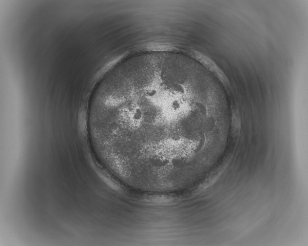 X0000110880533200907091423