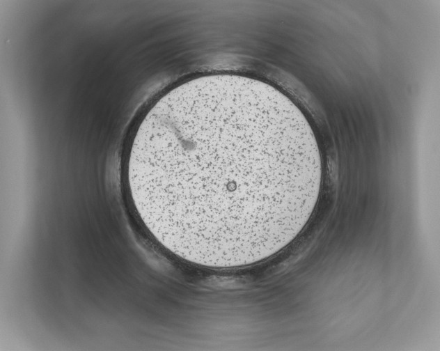 X0000110880534200907091423