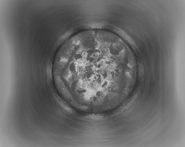 X0000110880537200907091423