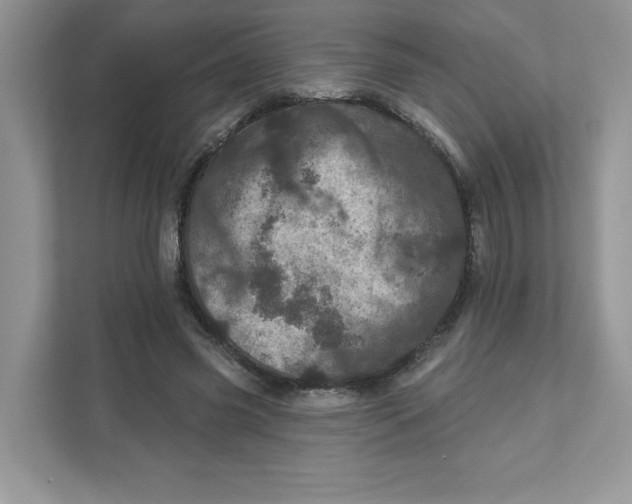 X0000110880541200907091423