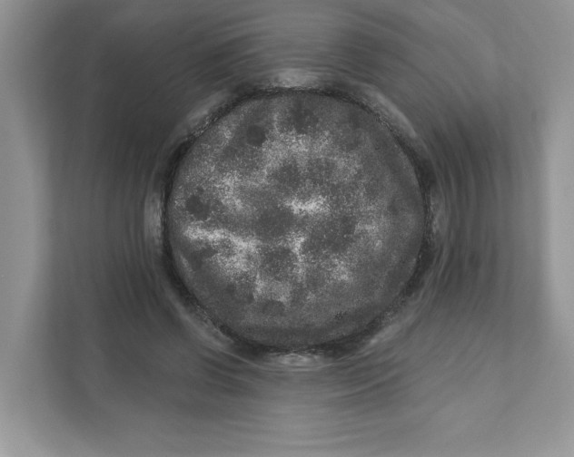 X0000110880542200907091423