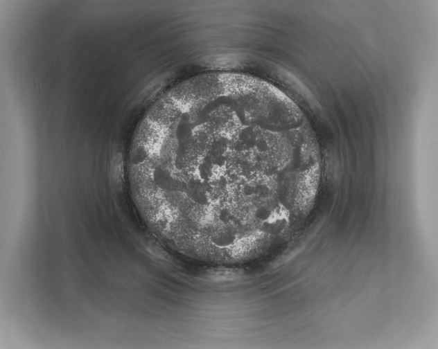 X0000110880549200907091423