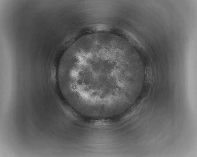 X0000110880550200907091423