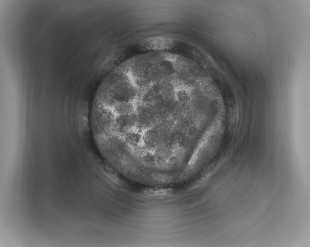 X0000110880553200907091423