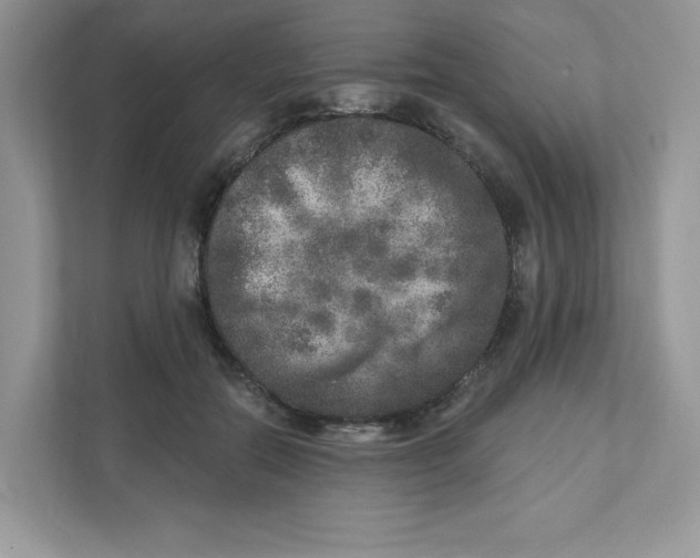 X0000110880554200907091423