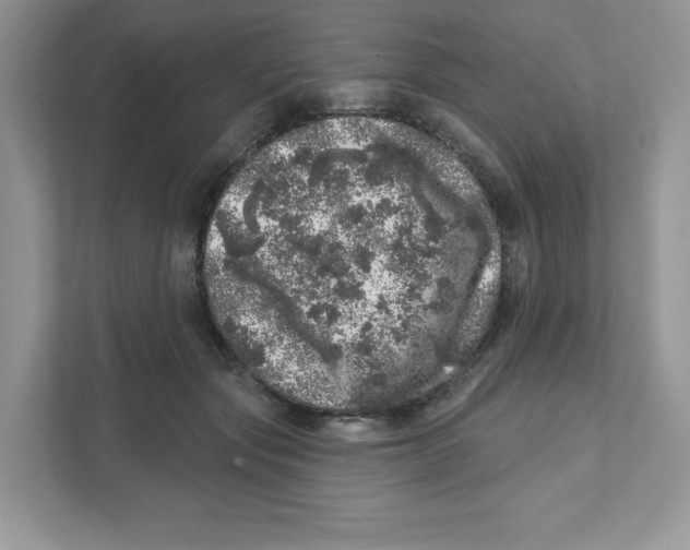 X0000110880557200907091423