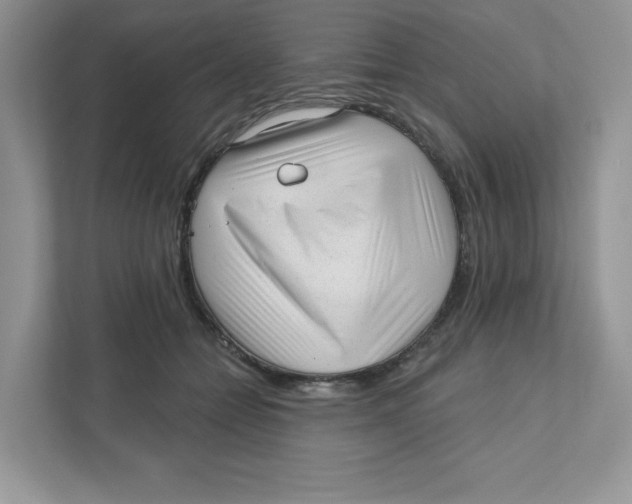 X0000110880558200907091423