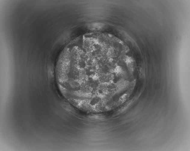 X0000110880561200907091424