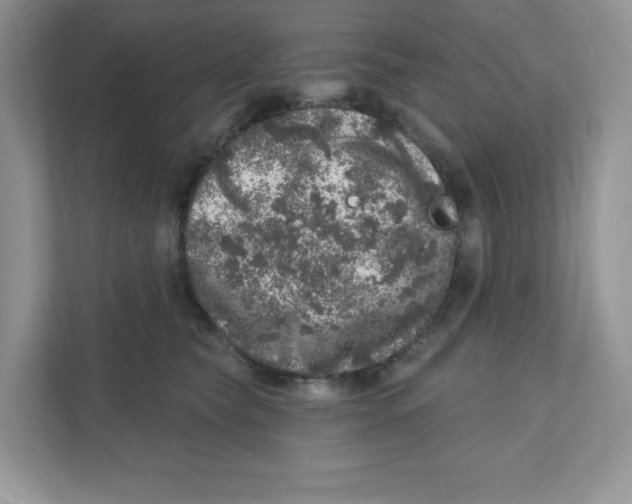 X0000110880565200907091424