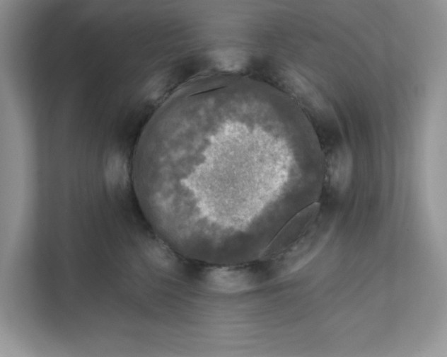 X0000110880568200907091424