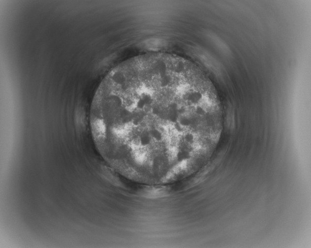 X0000110880569200907091424