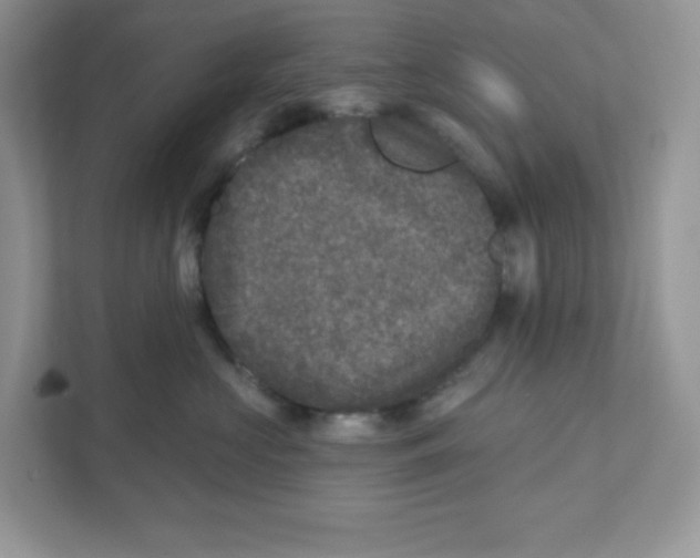 X0000110880573200907091424